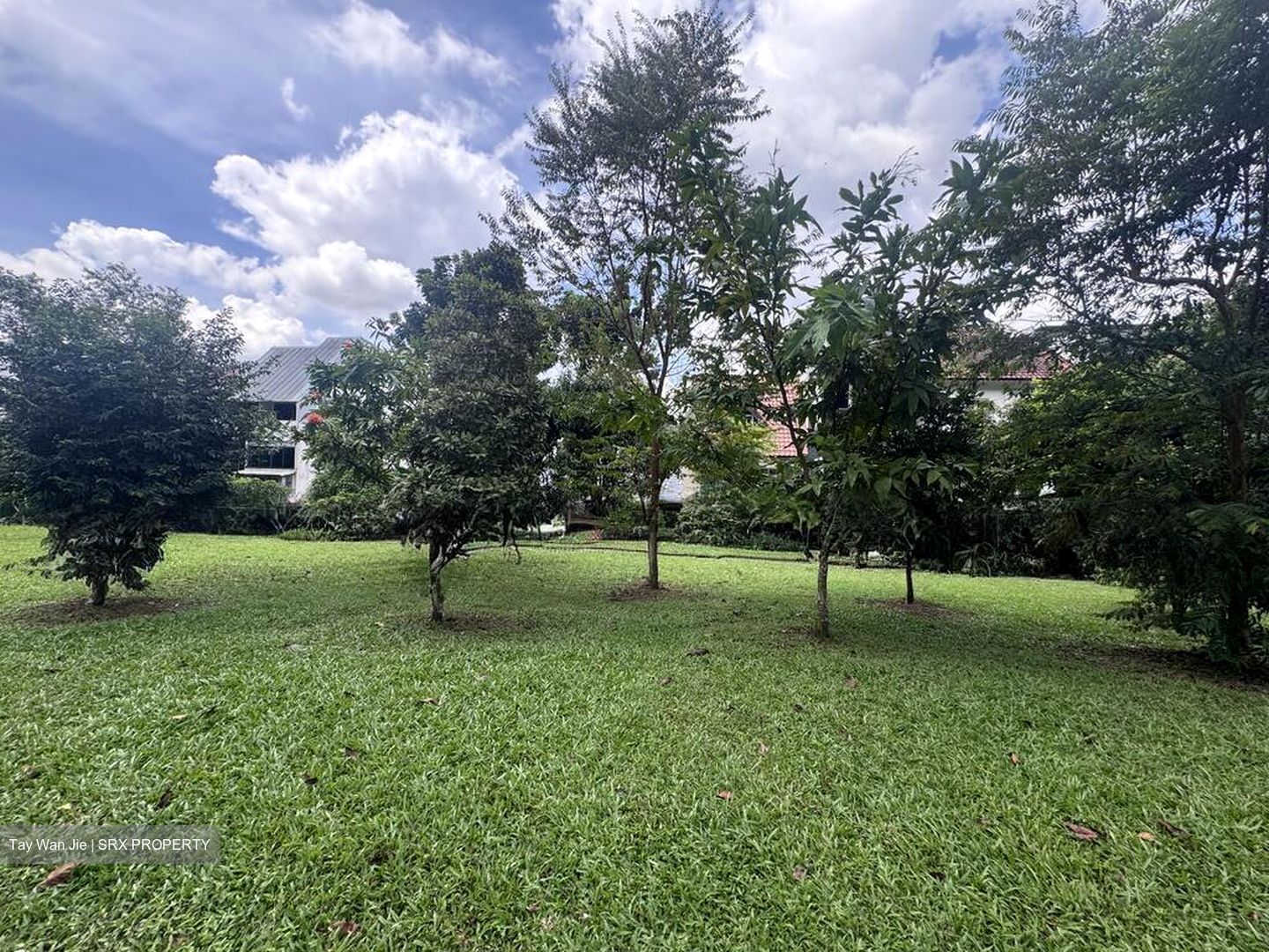 Fernvale Link (D28), Terrace #503999431